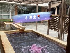 -春晖园度假酒店温泉