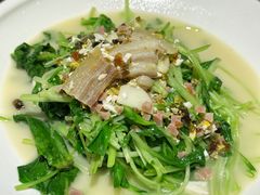上汤鸡毛菜-文华小渔村(椒江康平路店)