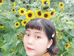 -南山植物园