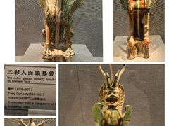-洛阳博物馆