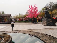 -渭南桃花源民俗文化园