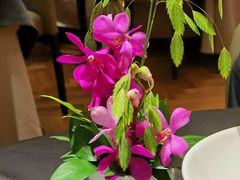 -A One Kitchen·南京精菜馆(德基广场店)