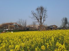 -中国天府农业博览园