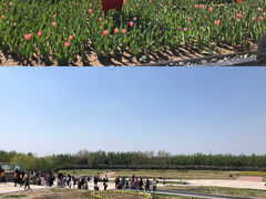 -沈阳植物园