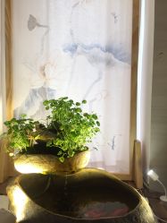 -溢美古法抗衰