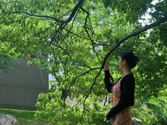 -鸿山遗址博物馆
