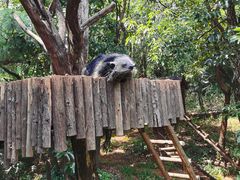 -云南野生动物园