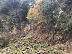 -水墨汀溪风景区