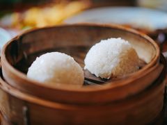 茨毛圆子-双塔老饭店