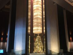 -新加坡文华东方酒店