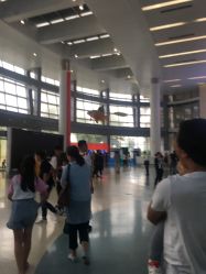 -天津市儿童医院(北辰龙岩院区)