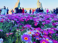 -幸福门