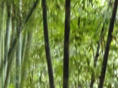 -曾百万小炉小串自助烧烤(高新店)
