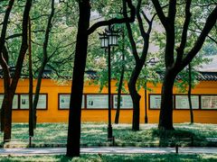 -西园戒幢律寺