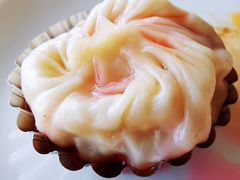 上海小笼包-彩丰楼中餐厅·仁恒洲际酒店
