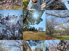 -白塘生态植物园