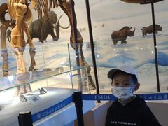 -辽宁古生物博物馆