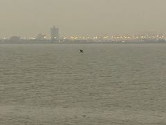 -南沙十九涌渔人码头-南门