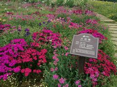 -保利石象湖景区