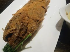 -老牌坊鲁菜名店(聊城美食岛店)