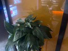 -碧涛阁水世界酒店·洗浴·自助(万家丽路店)
