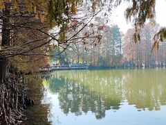 -中国科学院华南植物园