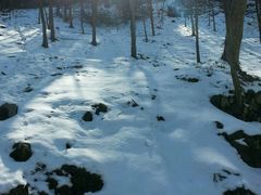 -藏龙百瀑风景区