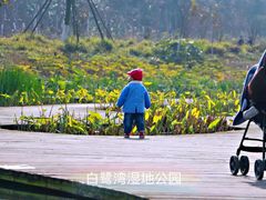 -白鹭湾湿地公园