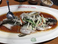 翘嘴白鱼-丹江渔村(望京店)