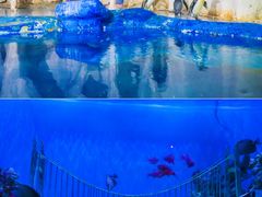 -太平洋海底世界