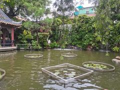 -碧江金楼