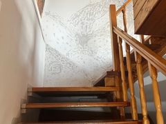 -金山农民画村-枫泾波兰倒置屋