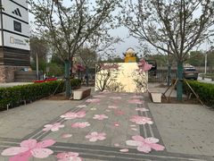 -斯普瑞斯奥特莱斯