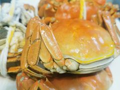 -蟹天蟹地农家菜·阳澄湖大闸蟹(浅水湾店)