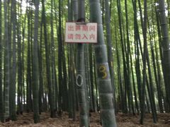iphone_upload_pic-杭州黄龙洞