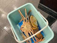 -东海怡品海鲜豆捞(星街坊店)