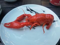 -蚝翅·海鲜粥·烧烤·宁夏滩羊季(玉米楼店)