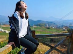 -桑洲油菜花景区