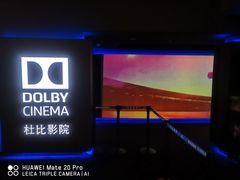 -万达影城(闵行颛桥万达广场杜比影院店)