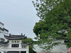 -八大山人梅湖景区