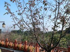 -小南山公园