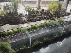 -豫丰汇河南名菜楼(武记餐饮)
