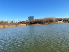 -大兴滨河森林公园