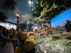 -国家自然博物馆