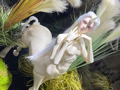 -成都世纪城新国际会展中心
