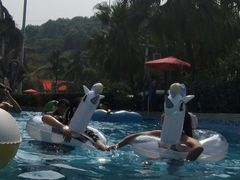 -重庆海昌加勒比海水世界