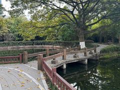 -望江楼公园