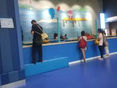 -蒙特利亲子乐园