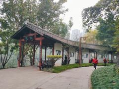 -重庆彩云湖湿地公园
