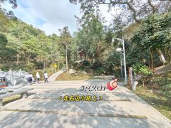 -梧桐山风景名胜区